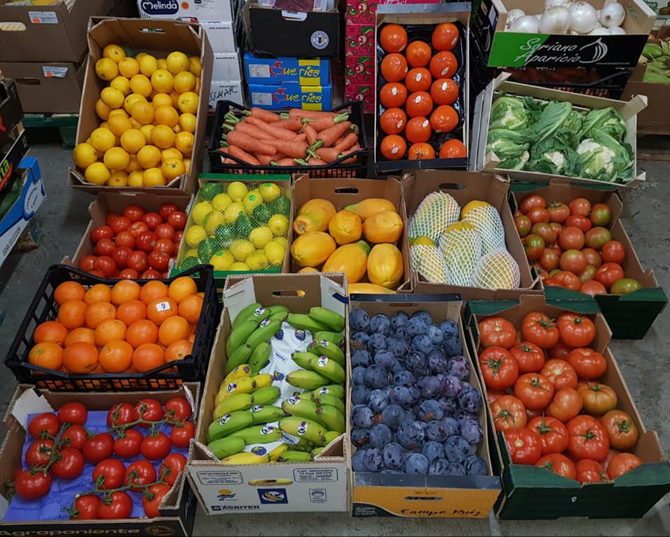 Congelados-Frutas-y-verduras-Morales