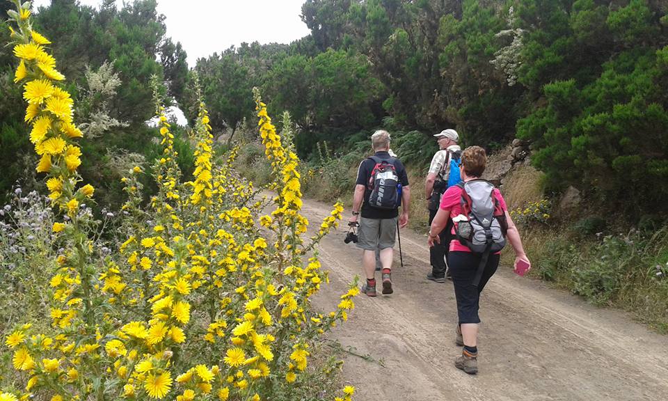 Viajes Timah - La Gomera- programas