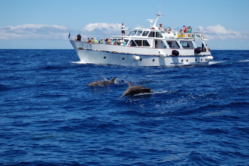 Excursiones tina - La Gomera